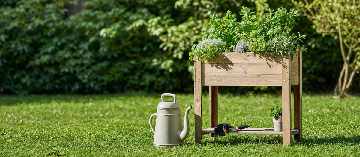 Moestuin beginnen: stappenplan voor groentjes