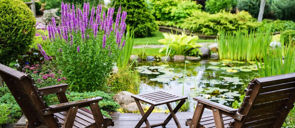 Hoe versier je jouw vijver met planten?