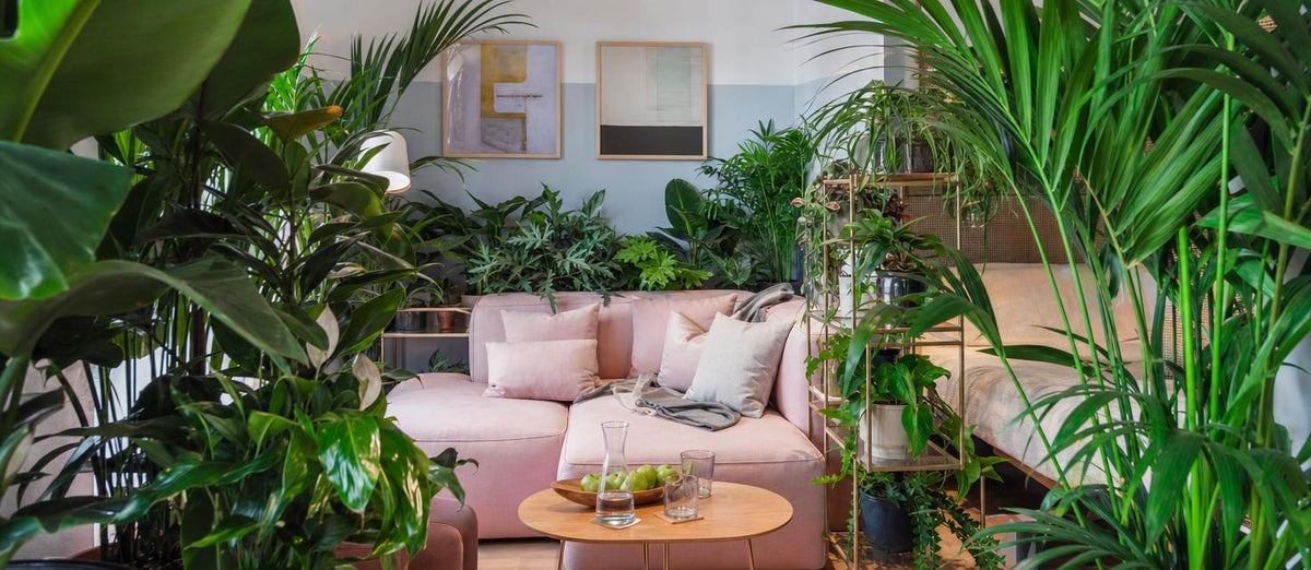 Creëer jouw eigen urban jungle
