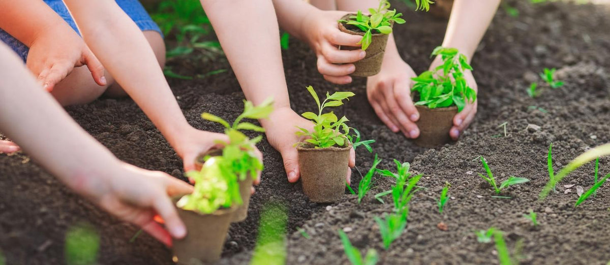 5 nieuwe groene hobby’s voor jouw kinderen