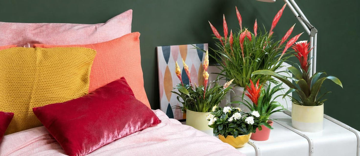 Welke planten passen bij welke interieur stijl?