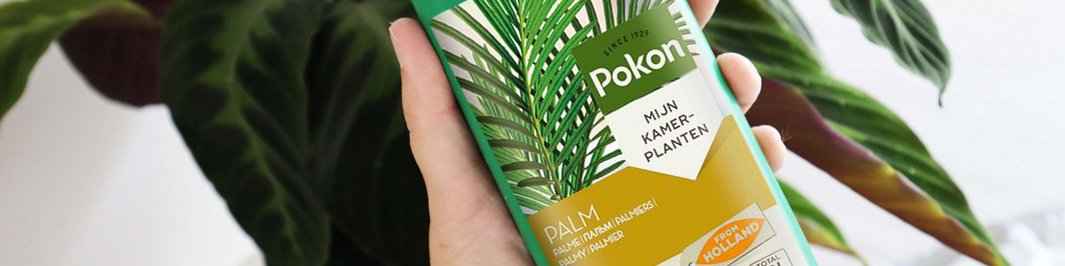 Kamerplantenvoeding