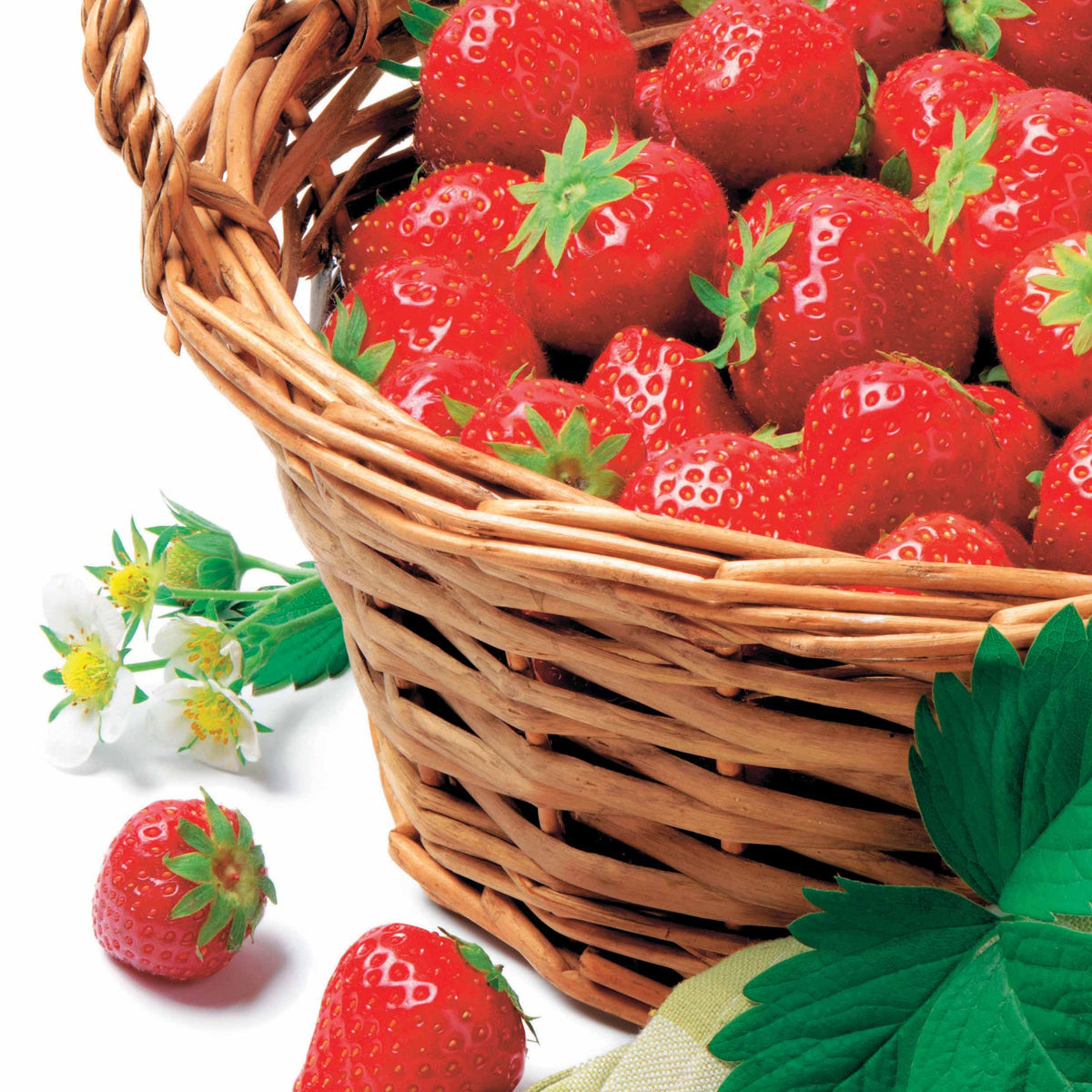 Aardbei 'Manille®' - Bakker