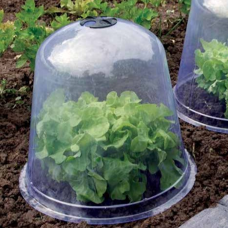 Set van 3 plantenstoplen - - Bakker