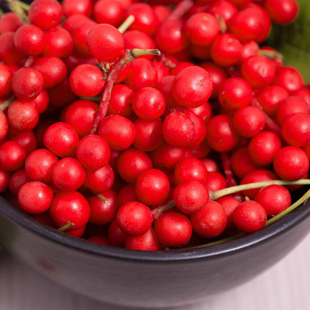 Vijf-smaken-bes - Schisandra chinensis - Bakker