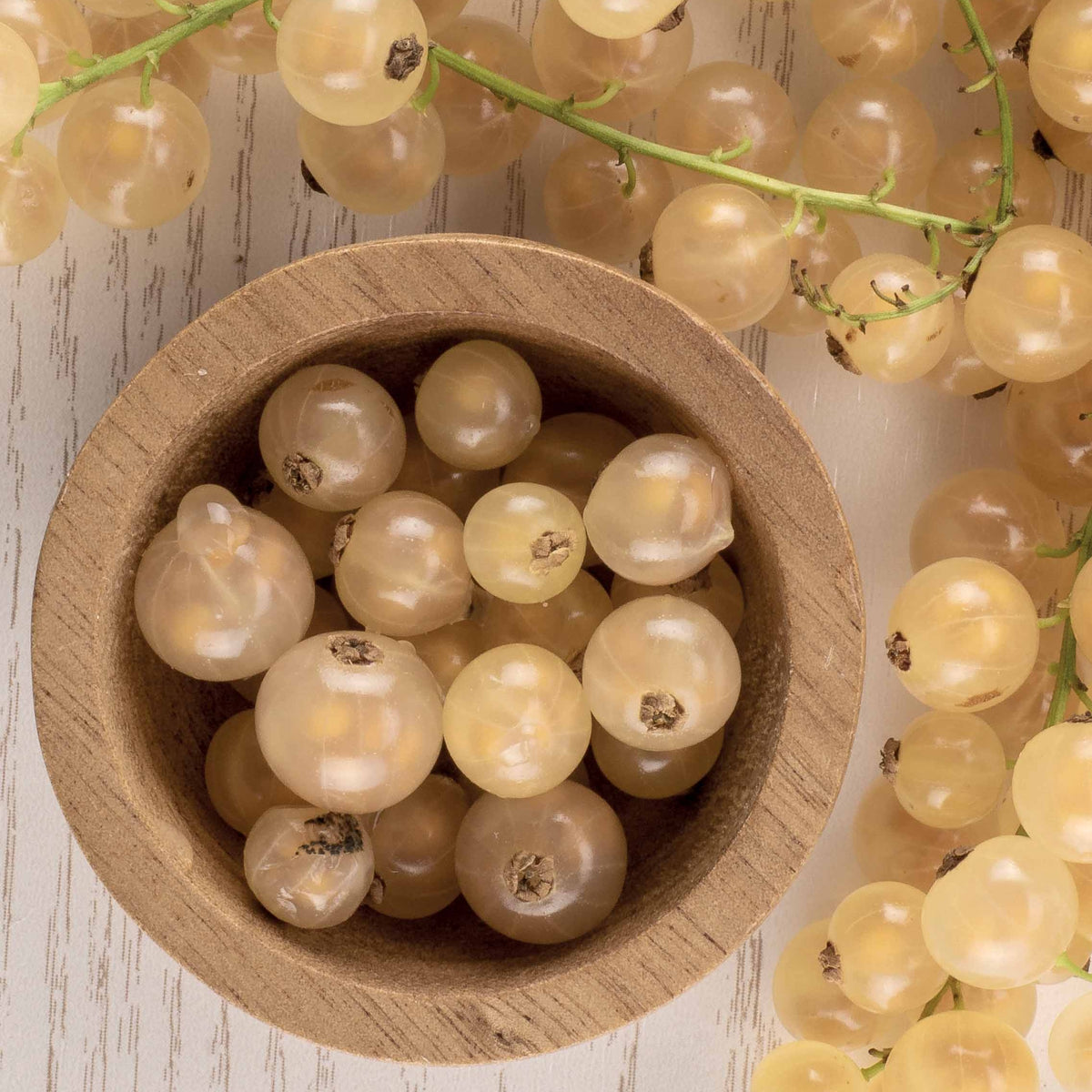 Witte aalbes 'White Pearl' - Ribes rubrum white pearl - Bakker