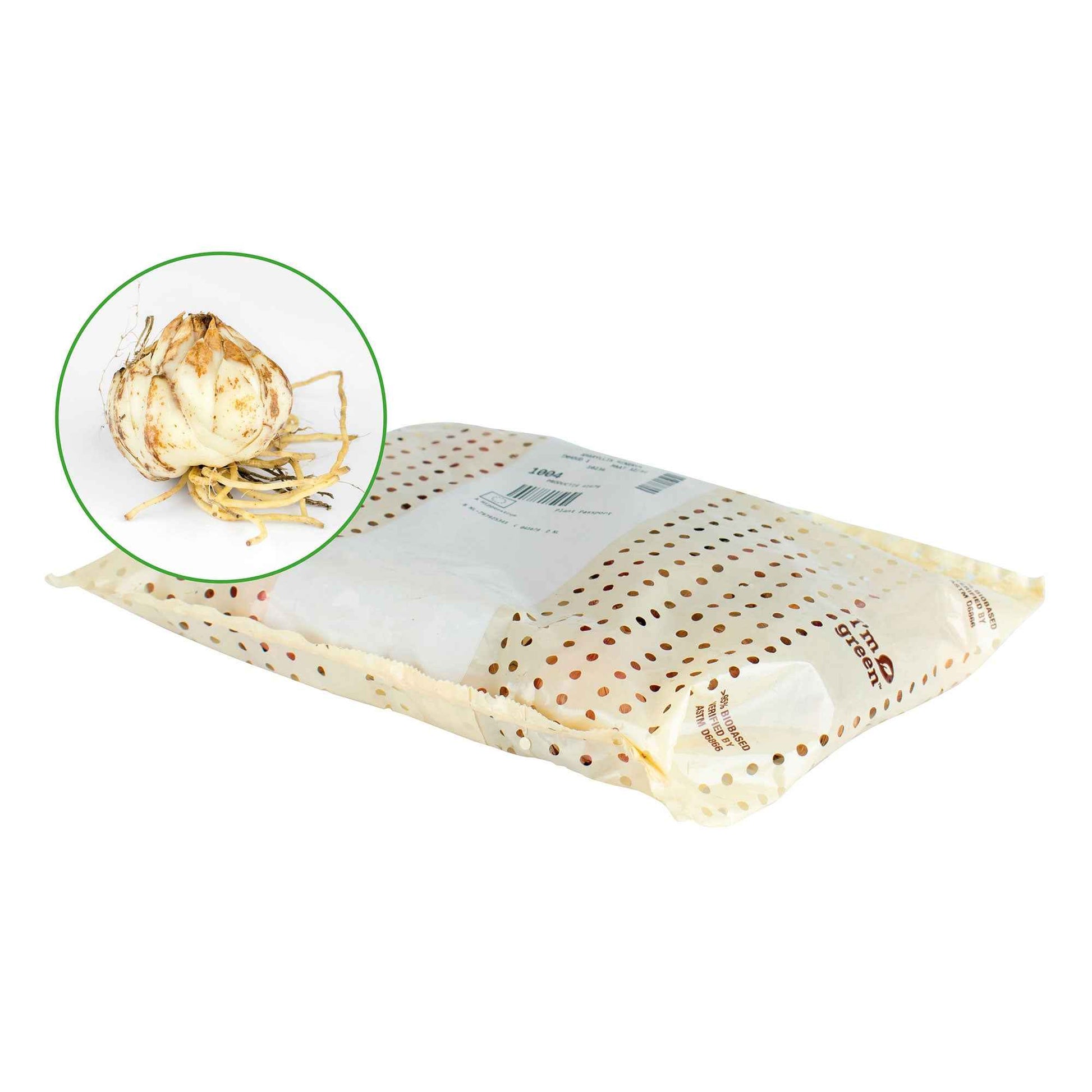 Gemengde bloembollen - Ixia - Mix - Ixia