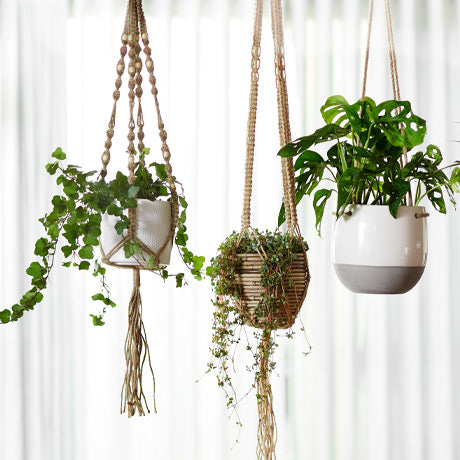 Groen Interieurtrends