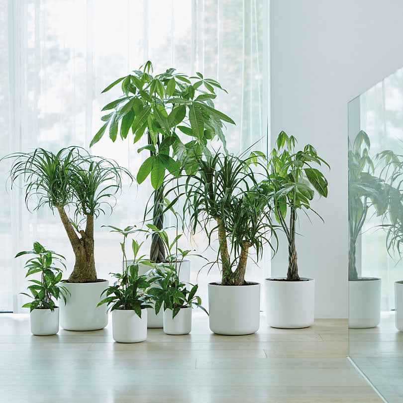 Elho bloempot B.for soft rond wit - Binnenpot - - Bakker
