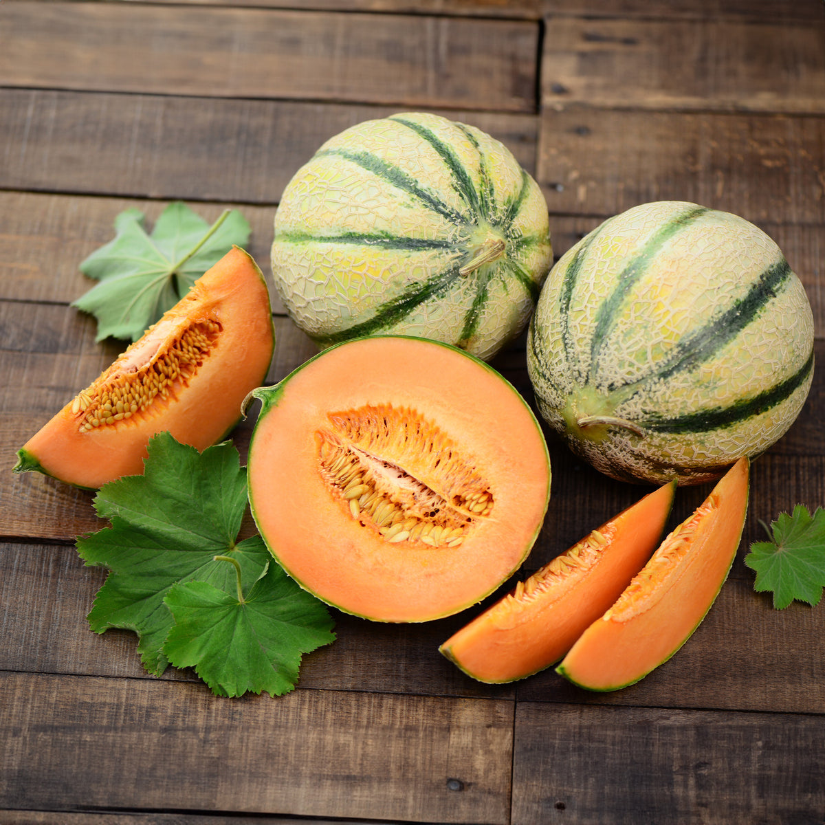 Cantaloupe meloen - Bakker