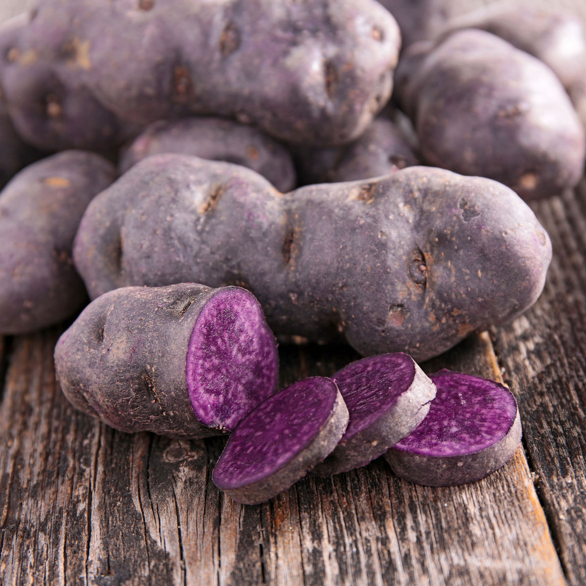 Aardappel 'Ulysse' - BIO - Bakker