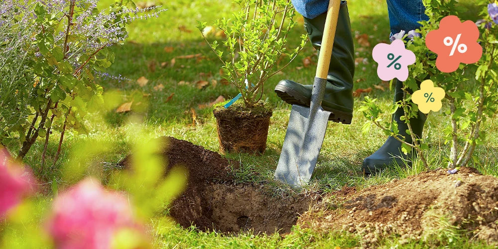 Mis het beste plantseizoen niet!