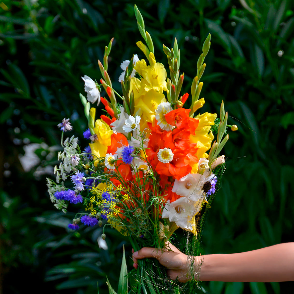Gladiolen en veldbloemen Mix - Bakker