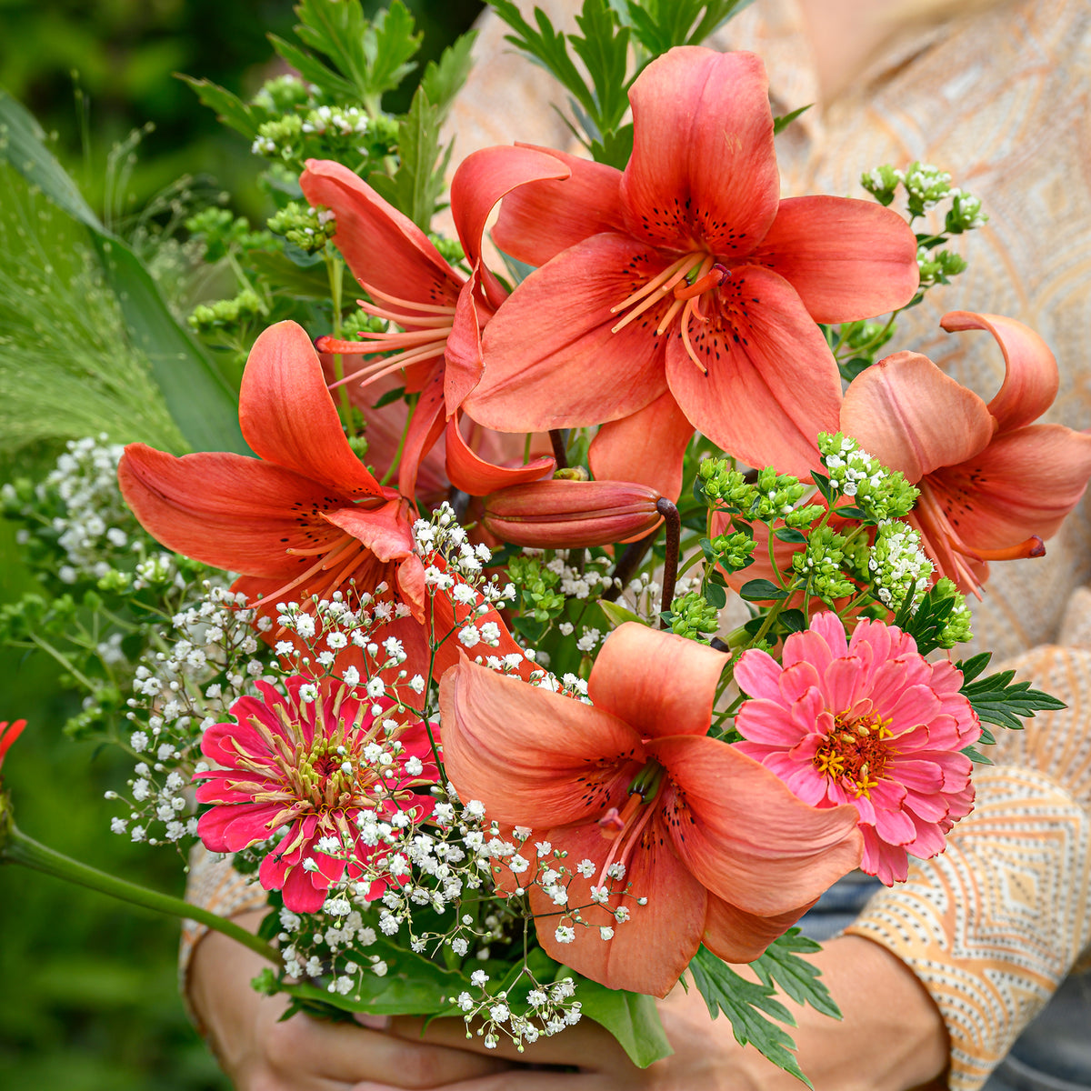 Lelie - Aziatische lelies en veldbloemen Mix - Lilium asiaticum red