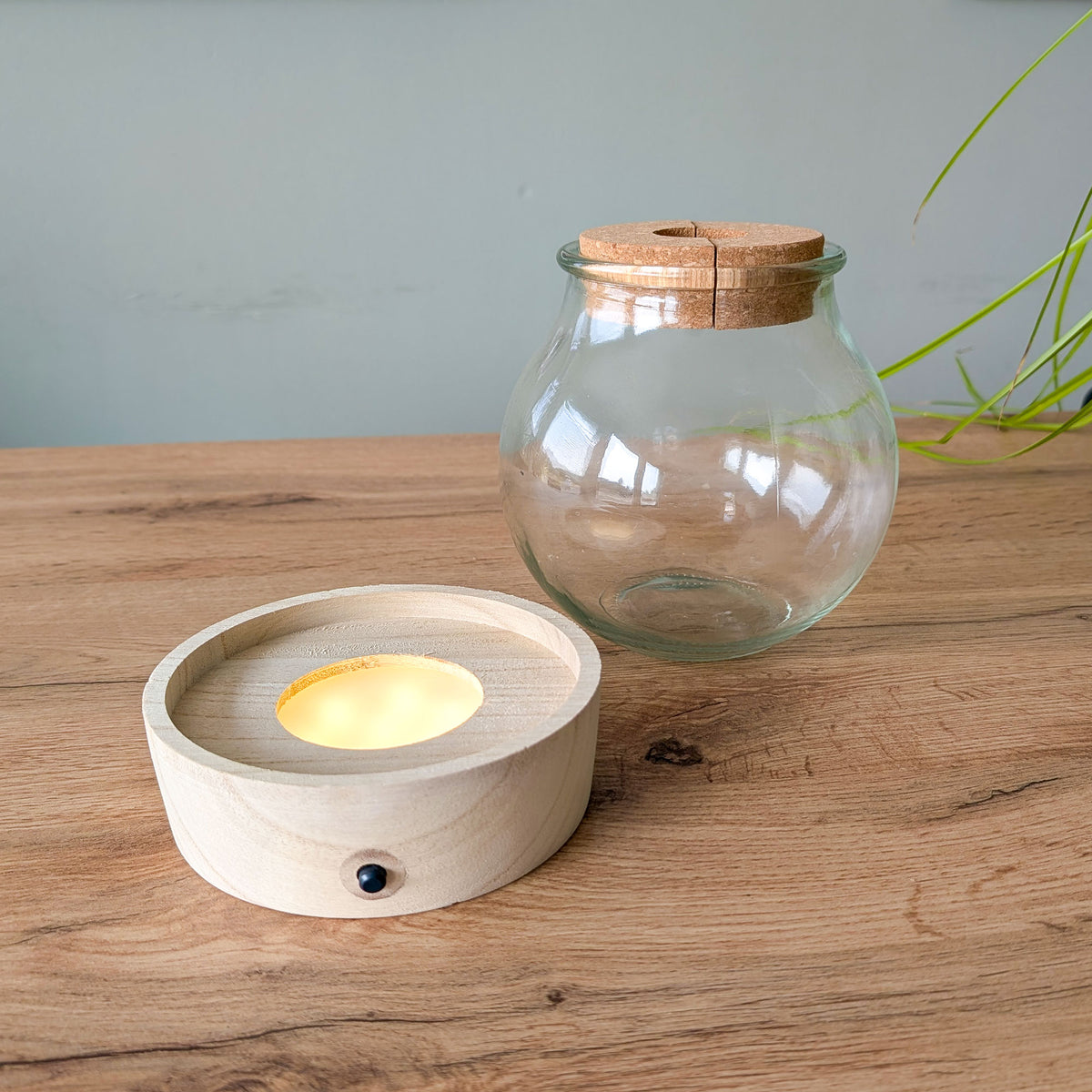 Hydro bolglas + LED verlichting - - Bakker