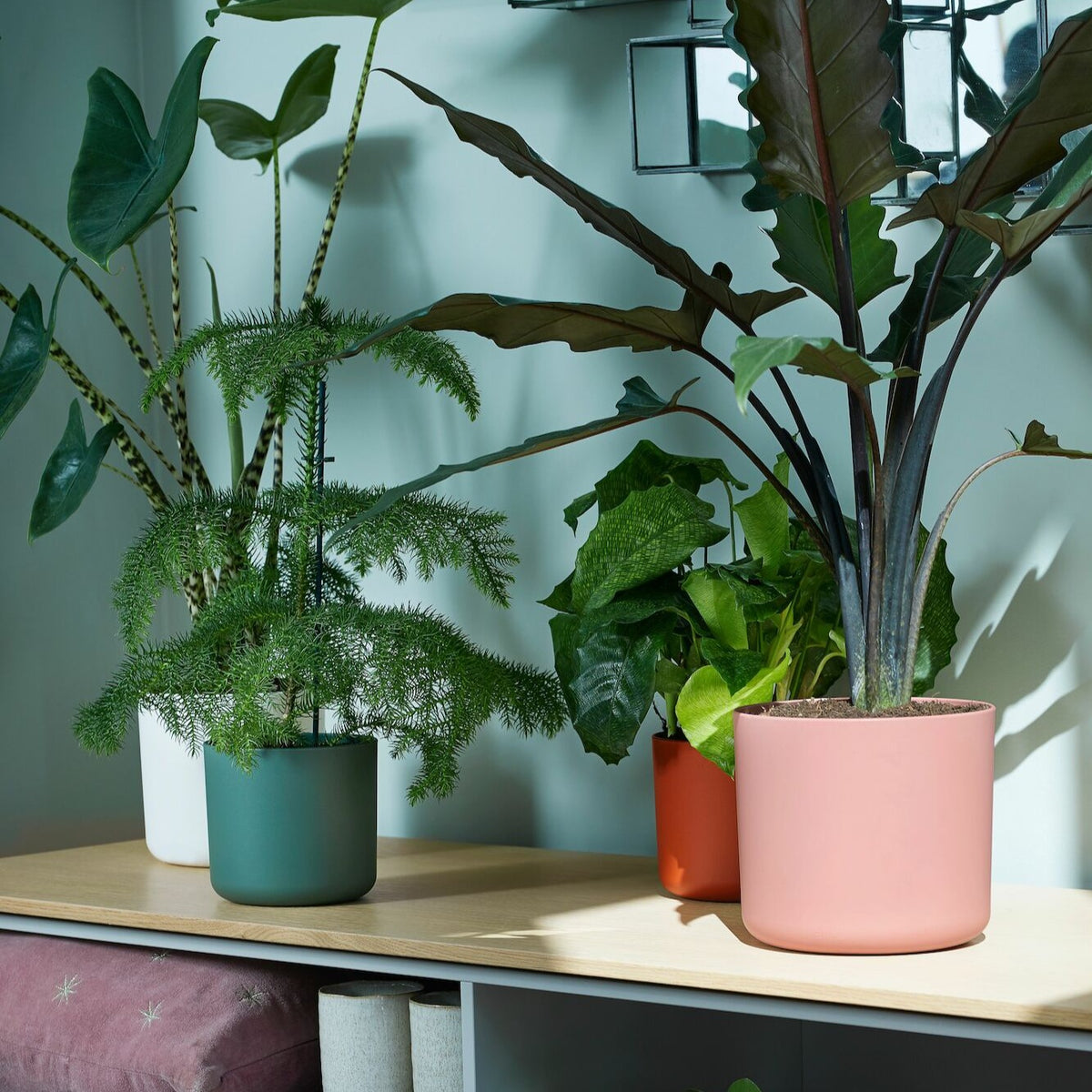 Kleine binnenpotten - Bloempot B voor soft rond roze ELHO -