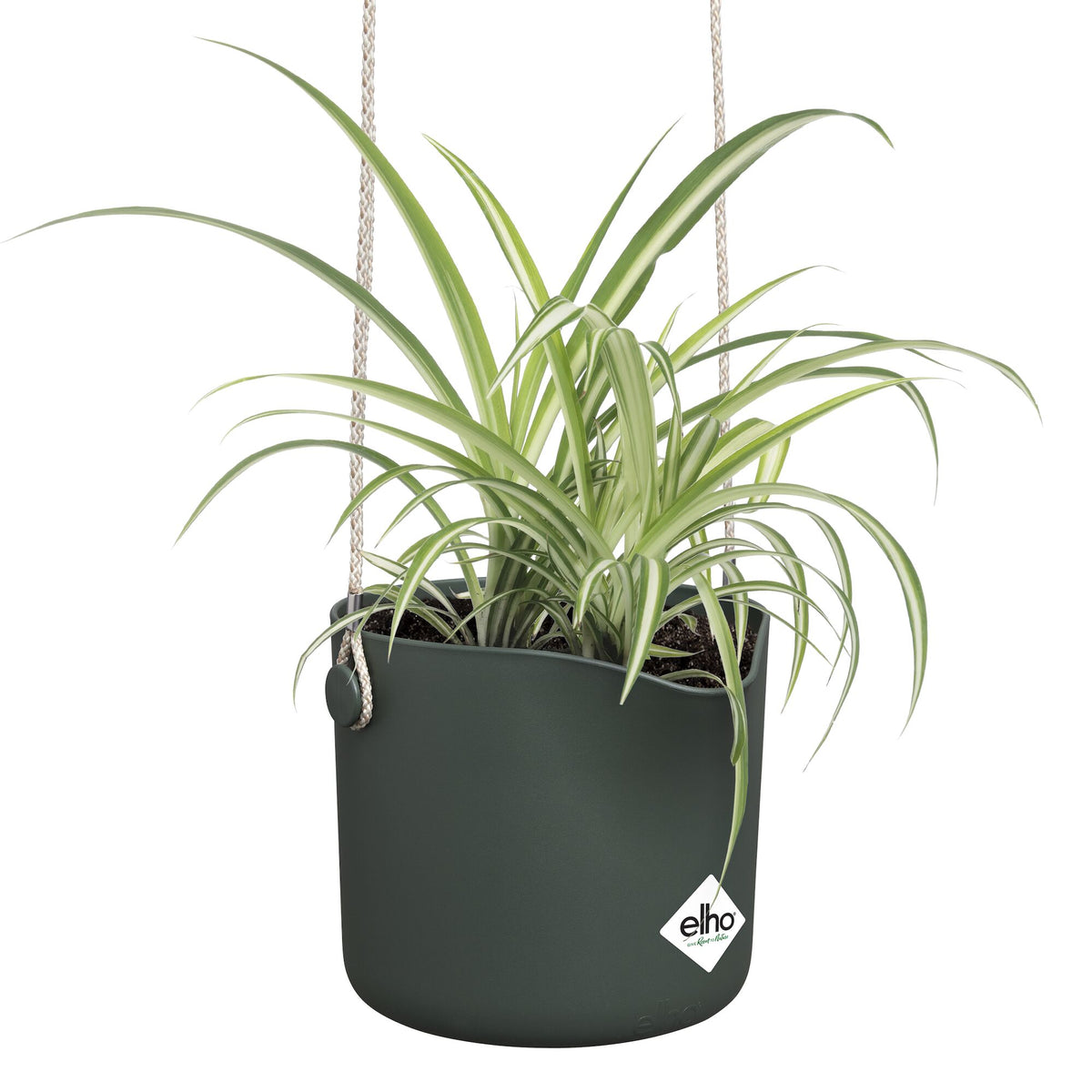 Verkoop Hangpot B voor swing groen ELHO -