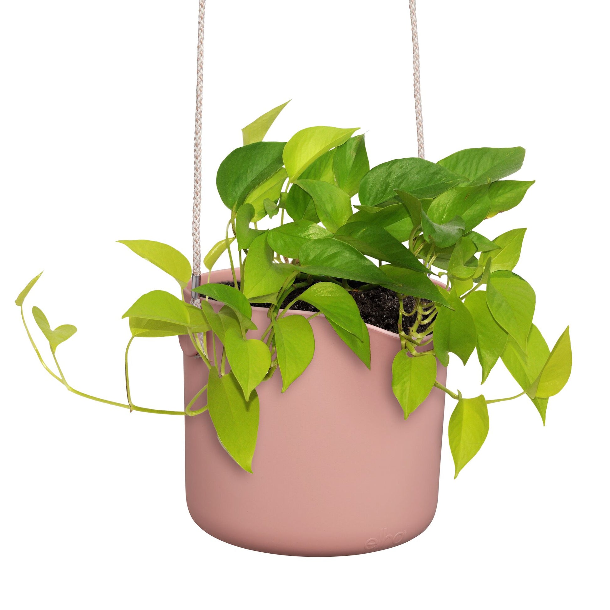 Verkoop Hangpot B voor swing roze ELHO