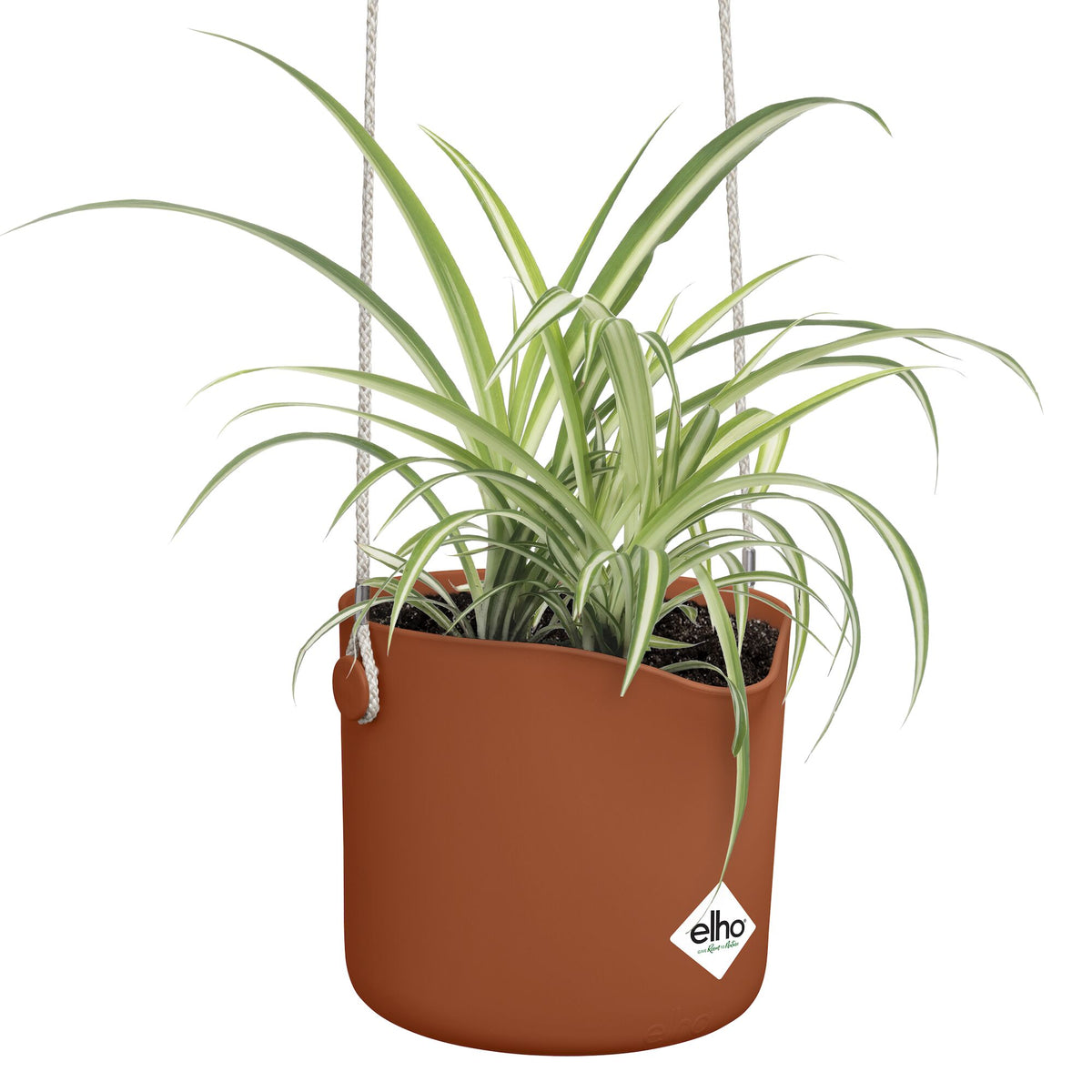 Verkoop Hangpot B voor swing terracotta ELHO