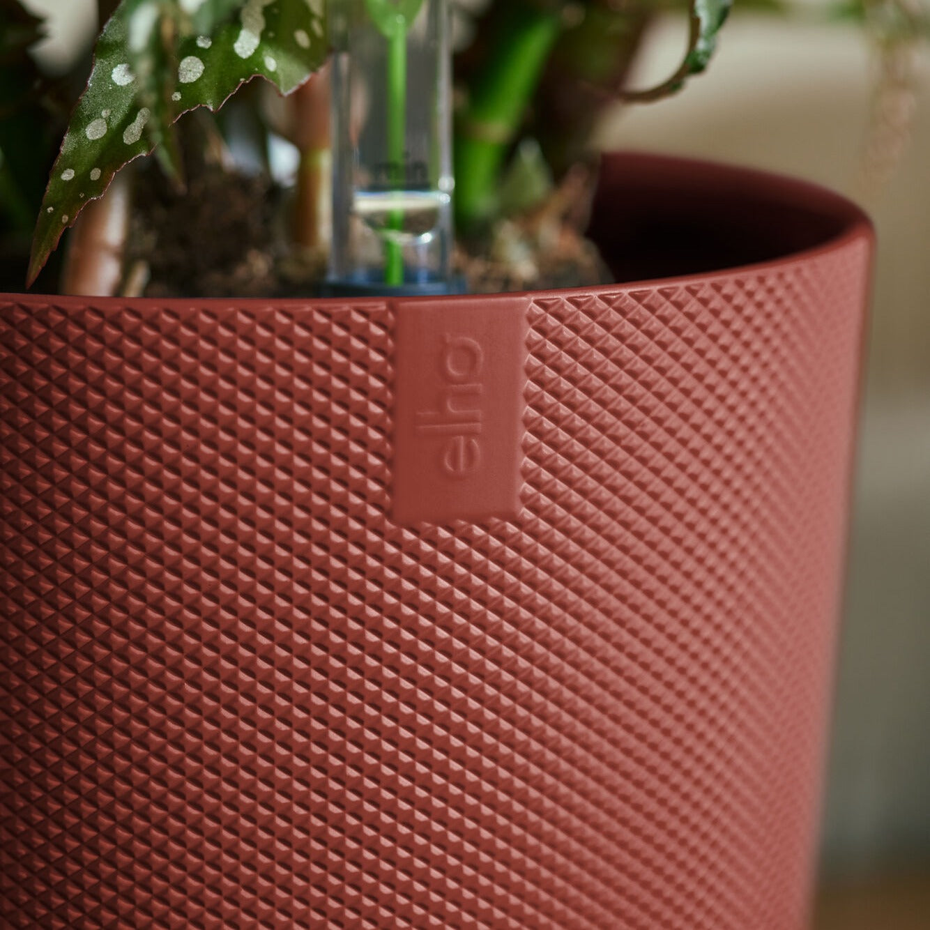 Verkoop Bloempot Jazz terracotta ELHO -