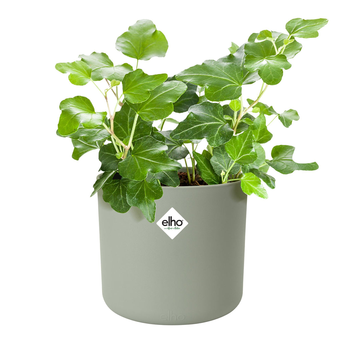 Elho Bloempot B for soft rond steengroen - - Bakker