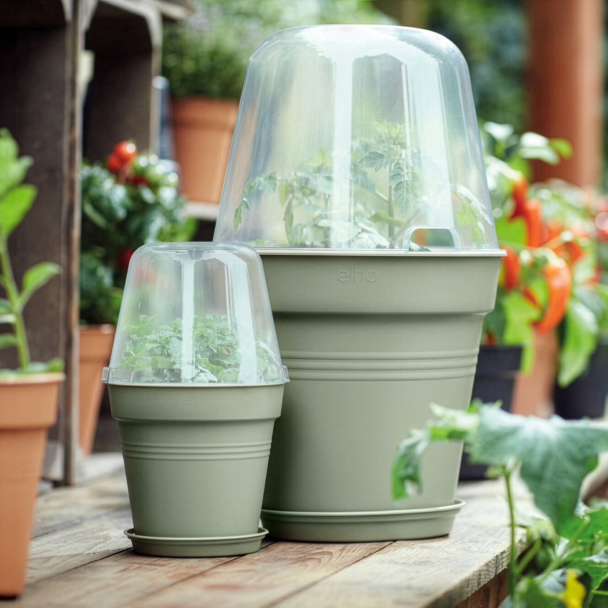 Verkoop Kweekpot Green Basics Steengroen -