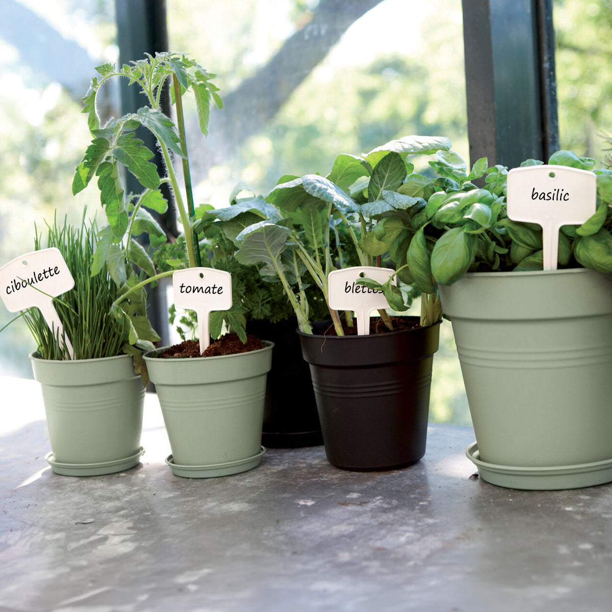 - Schotel Green Basics Steengroen ELHO - Buitenpotten