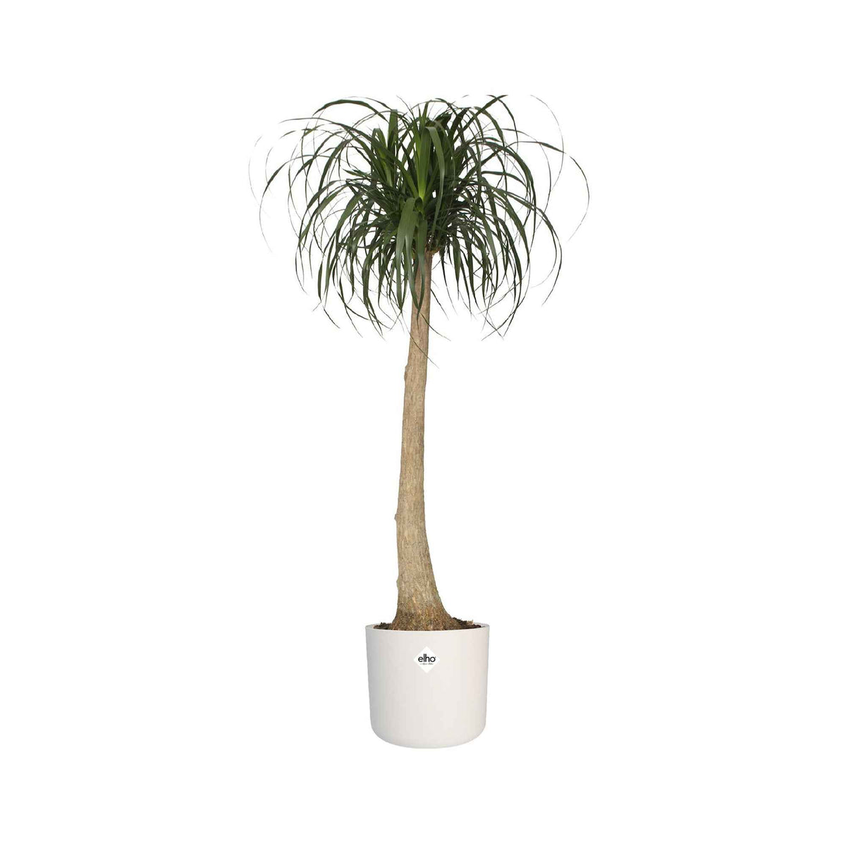 - Elho bloempot B.for soft rond wit - Binnenpot - Onderhoud en Materiaal