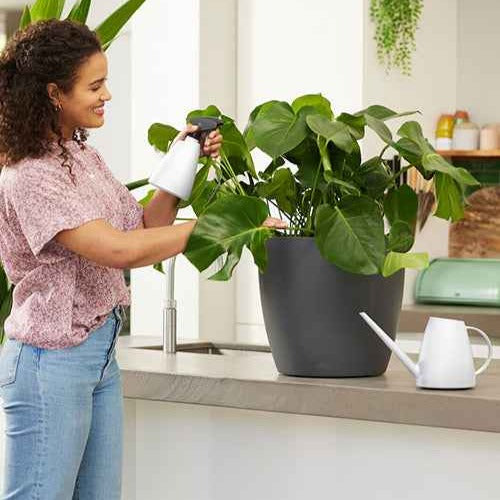 Tuinbewatering - Elho gieter Brussels wit -