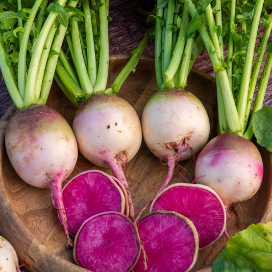 Radijs 'Red Meat' - Bakker