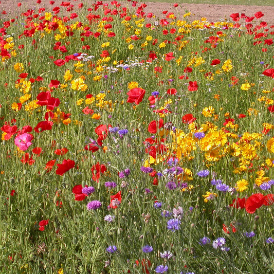 Rustieke bloemenmix - Bakker
