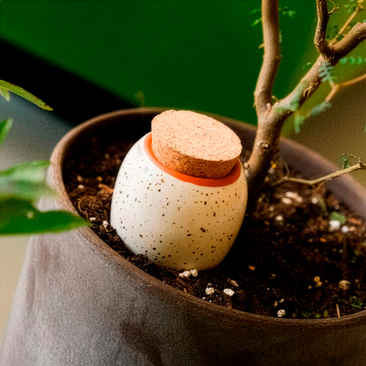 Olla - Korrelig wit - - Bakker