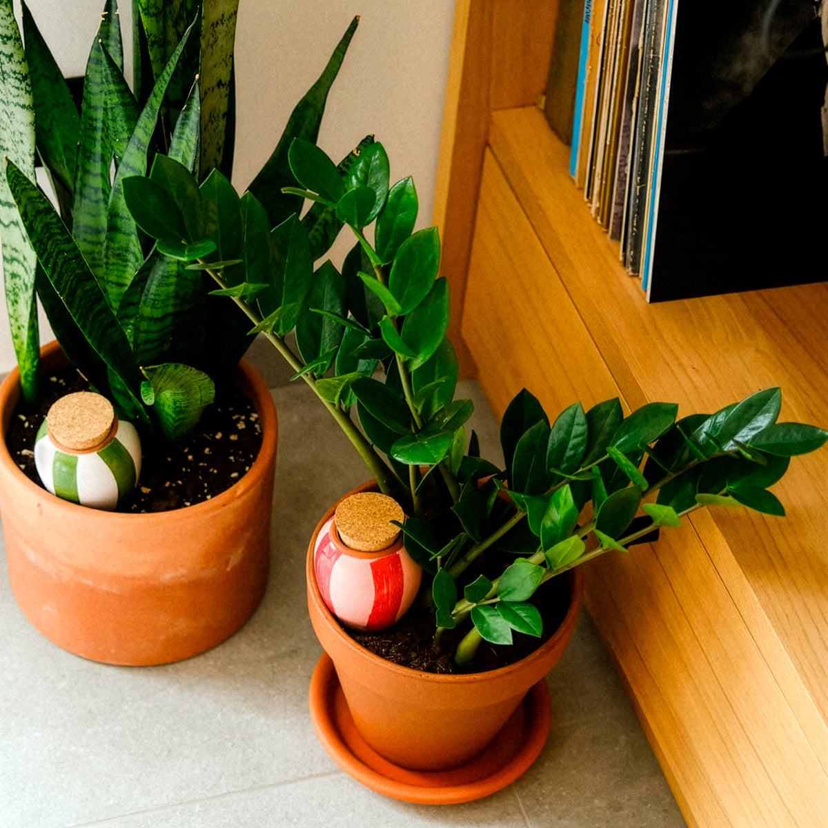 Mini Olla Trio – gestreept - - Bakker