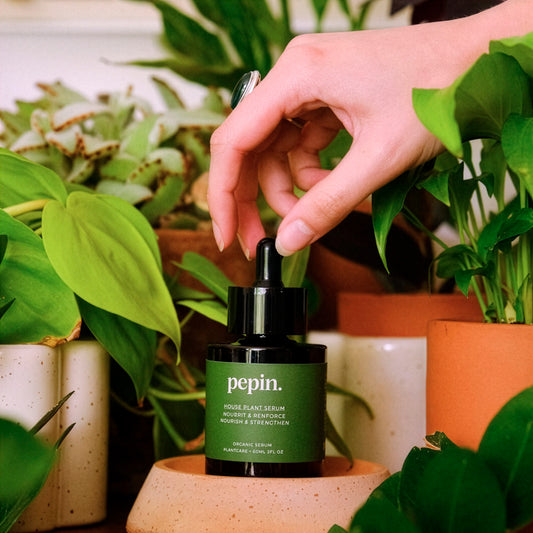 Voedend serum - Groene Planten - Bakker