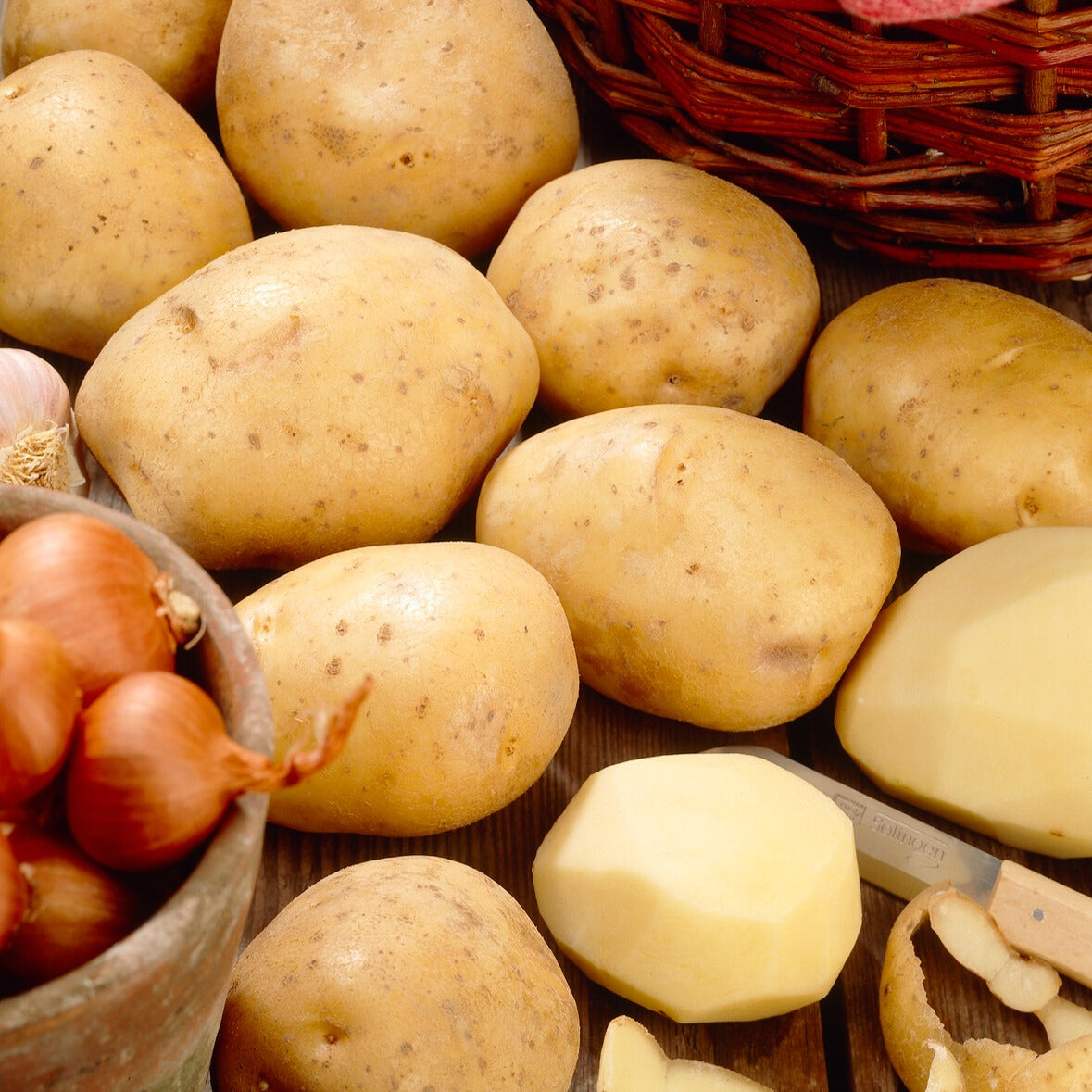 Solanum tuberosum bintje - Aardappel 'Bindje' - Aardappelplanten