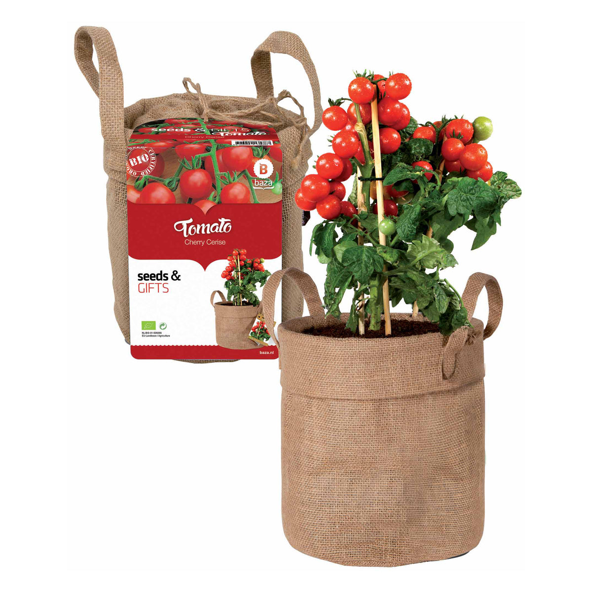 Kerstomaten Kit in decozak + potgrond