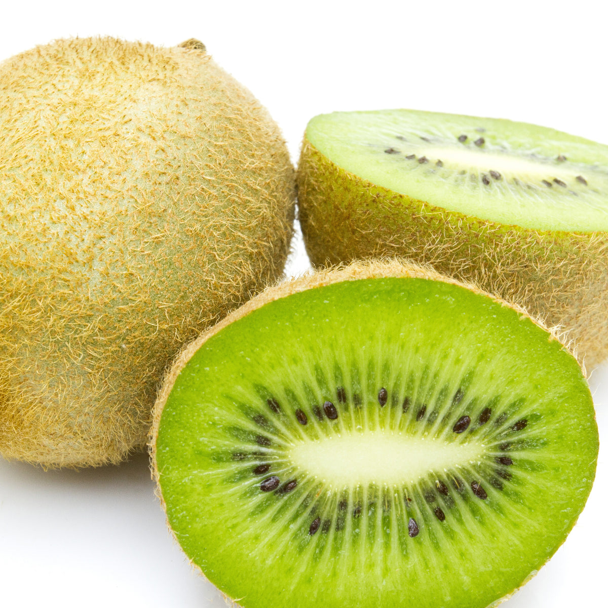 Kiwi 'Jenny' - Actinidia deliciosa Jenny - Bakker