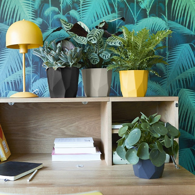 Onderhoud en Materiaal - Elho Bloempot B for rock - living black -