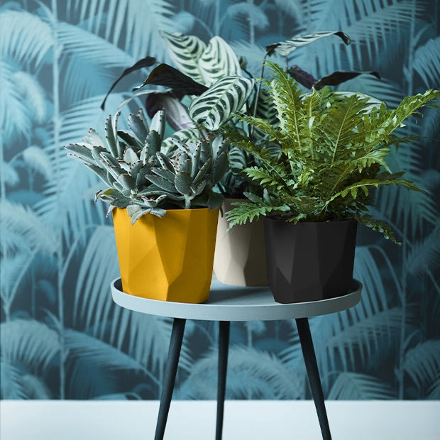 Verkoop Elho Bloempot B for rock - living black