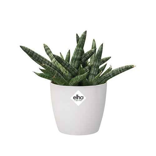 Elho Bloempot Brussels rond - wit - - Bakker