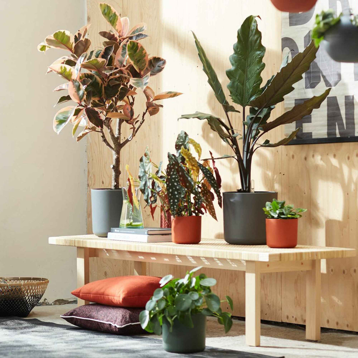 Onderhoud en Materiaal - Elho bloempot B.for soft rond antraciet - Binnenpot -
