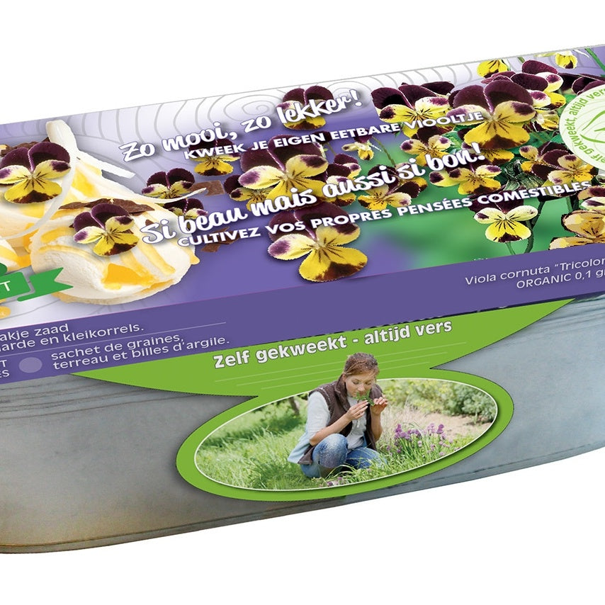 Zinken teil Viool kleuren BIO - Bakker