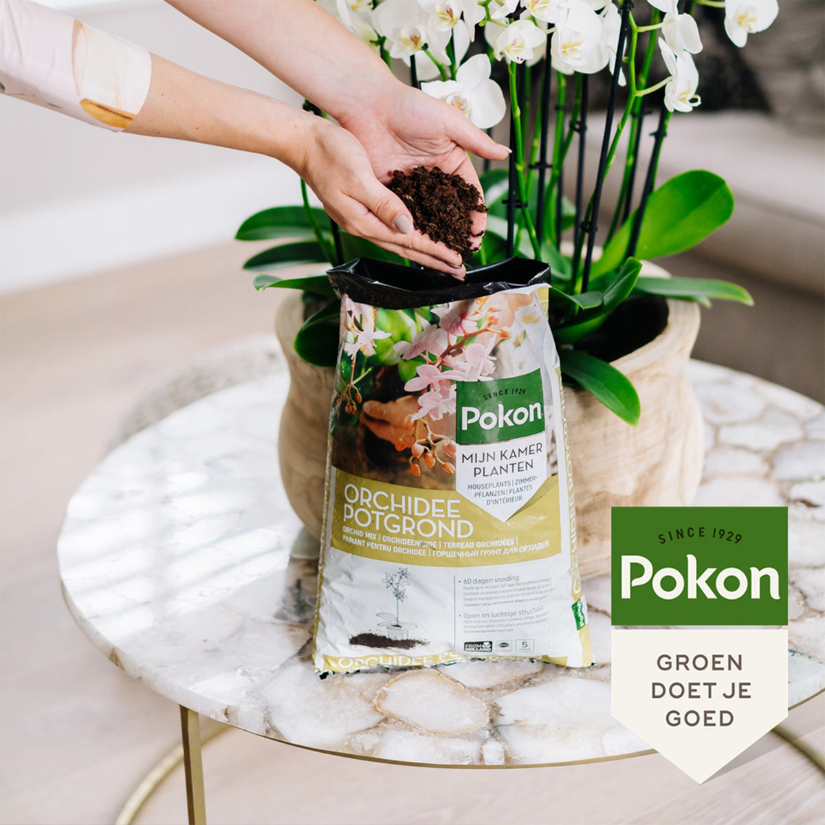 Pokon orchidee potgrond - Bakker
