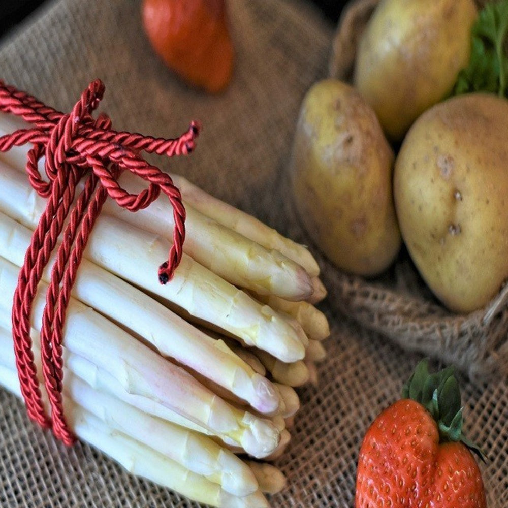Moestuinplanten - Asperge 'Argenteuil' (x10) - Asparagus officinalis argenteuil