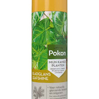 Bladglans spray 250 ml - Pokon - Kamerplanten verzorging