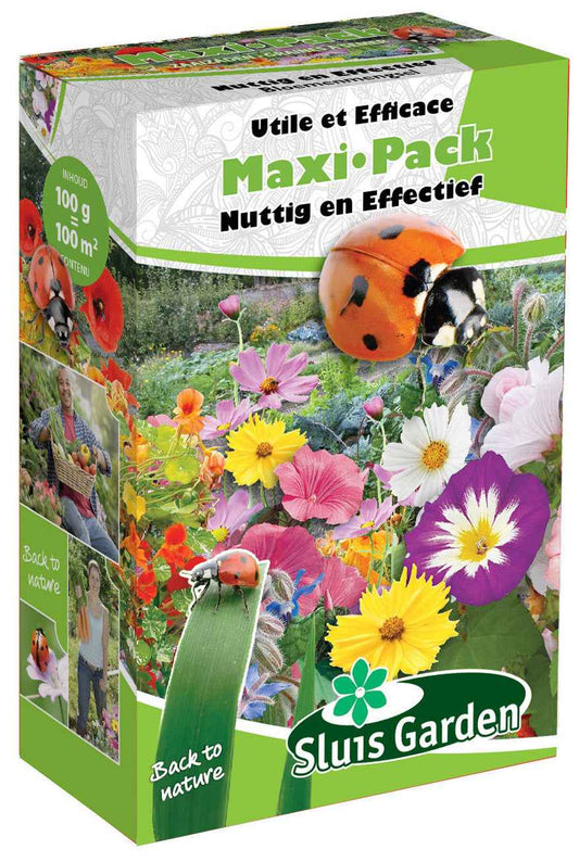 Bloemenmix 'Nuttig & Efficënt' - maxi-pack - 1