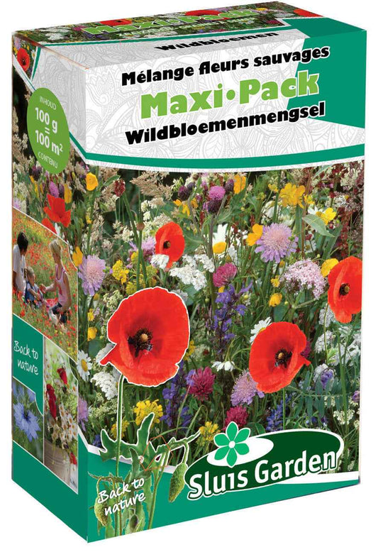 Wilde bloemenmix - maxi-pack - 1
