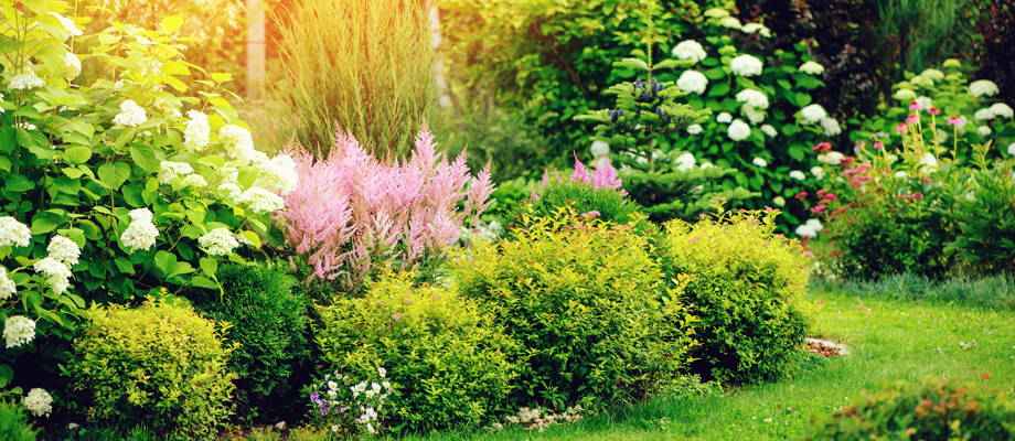 Bereid je tuin voor op een hete zomer