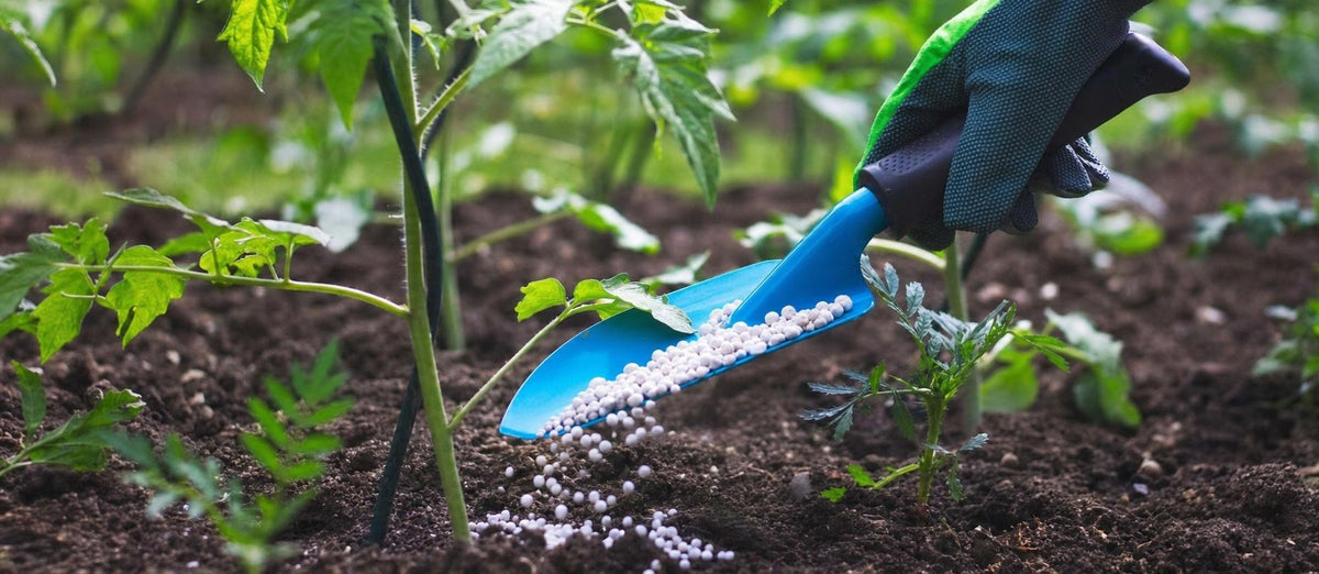 Alles over het bemesten van jouw tuin