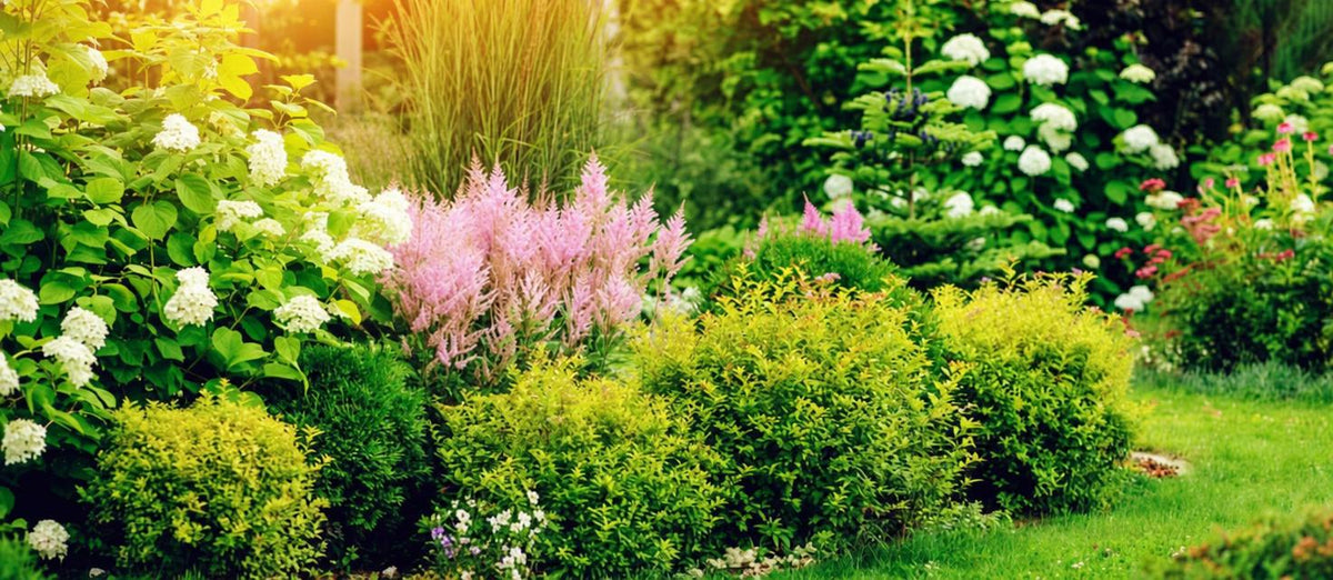 Bereid je tuin voor op een hete zomer